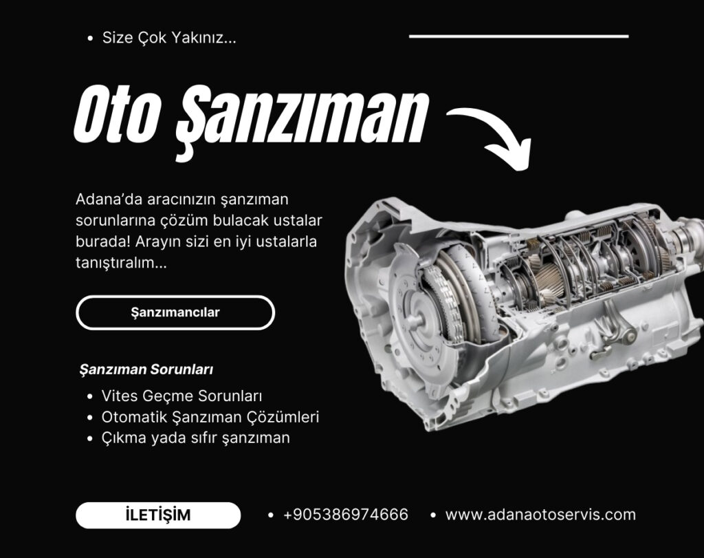 Oto Şanzıman